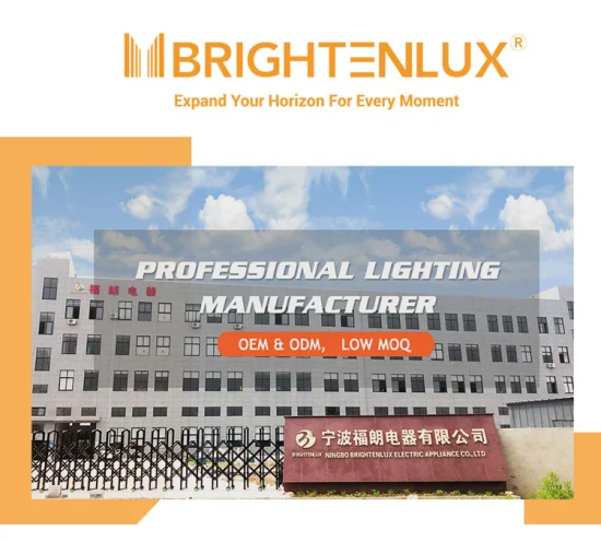 Brighenlux Оптовая продажа Красота 10-дюймовый фотографический светодиодный кольцевой светильник для селфи со штативом для прямой трансляции макияжа Youtube Video